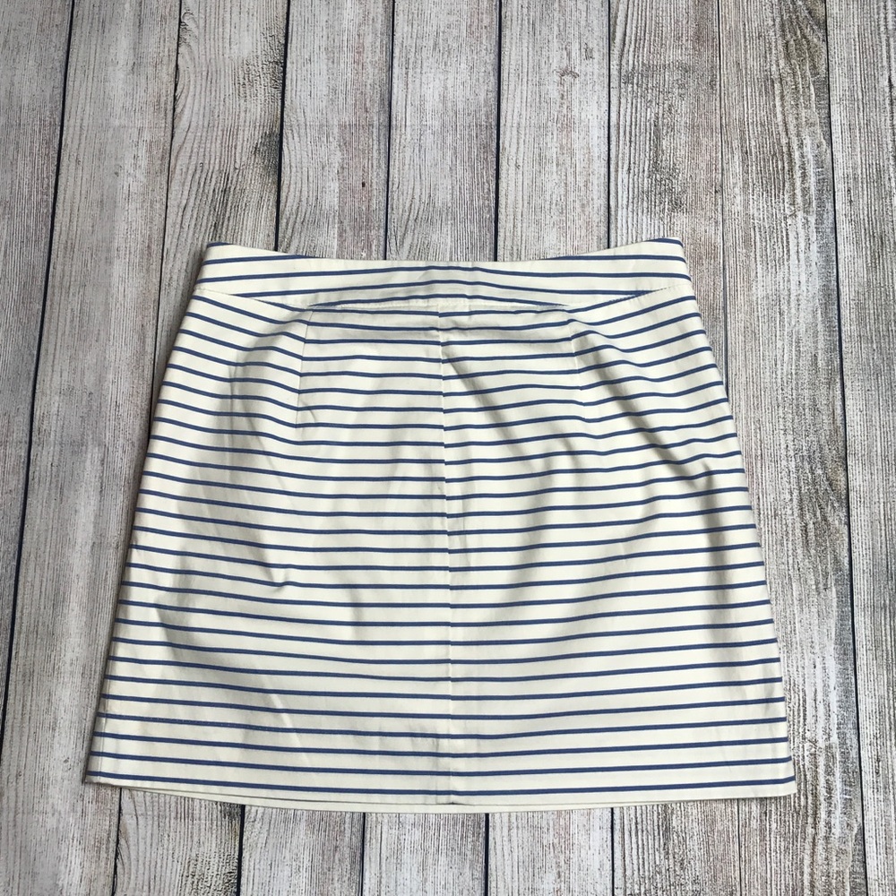 The Limited Skirt - Picture 3 of 7